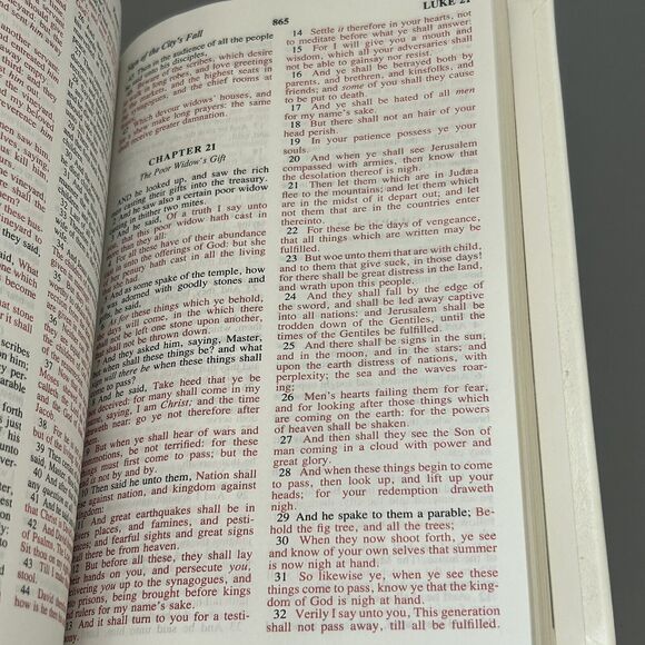 Holy Bible Dove Of Peace Edition KJV Illustrated White Hardcover Faux Leather - Picture 7 of 9